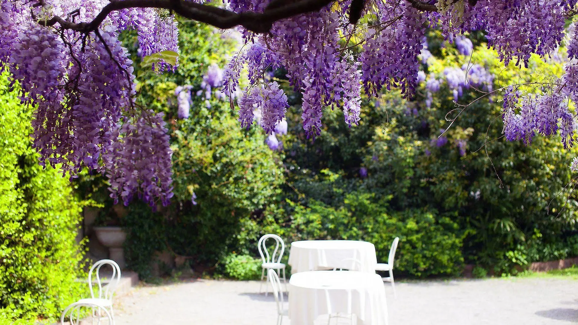 Albergo Ristorante Madonnina Cantello 3*,